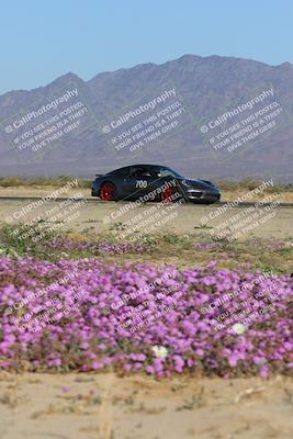 media/Jan-29-2023-PCA San Diego (Sun) [[aa0301ccc2]]/Yellow Group/Session 1 (Turn 15 Bloom)/